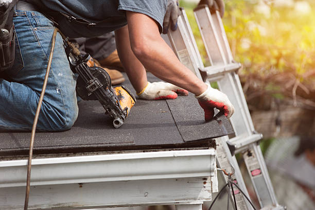 Best Roof Gutter Cleaning  in Edgemoor, DE